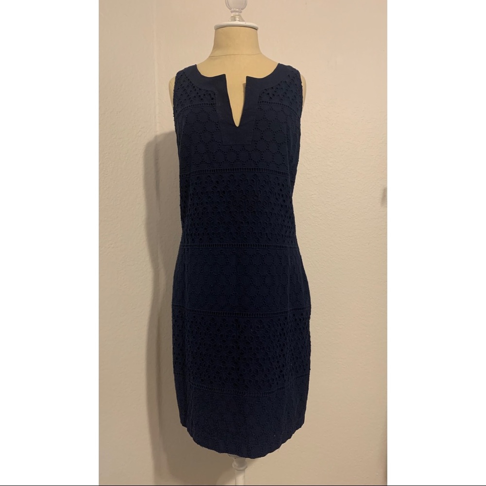 Banana Republic Navy Lace Mini Dress
